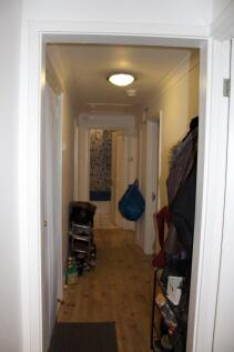 green-dell-ct2-7bu-1015799