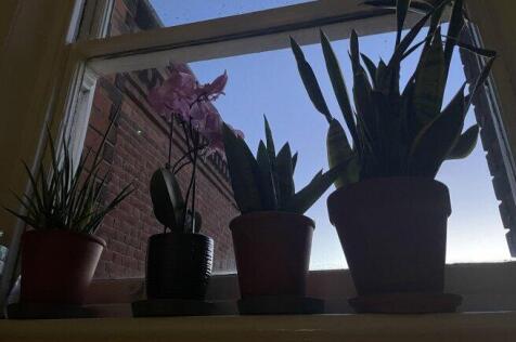 saint-dunstans-street-ct2-8bz-958959