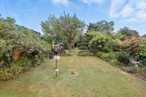 31photo001