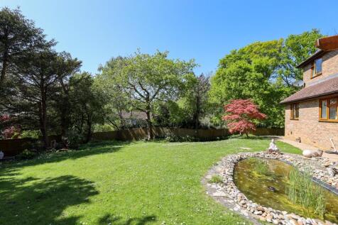 Property Image 11