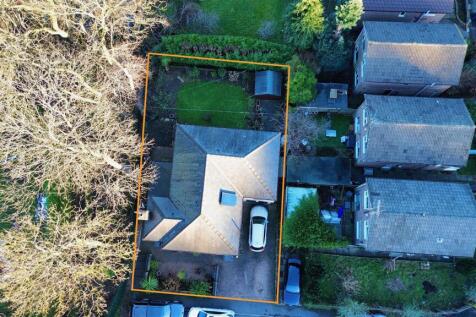 dji_fly_20250130_154156_277_1738262005562_photo_op