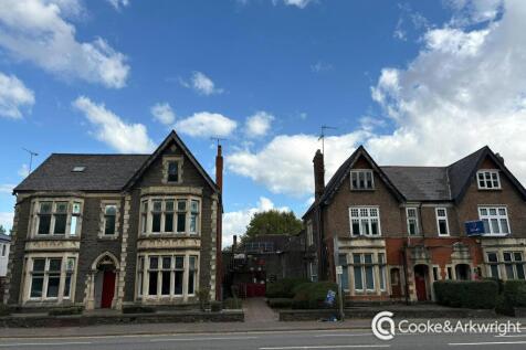 processed0E928C C80582B6DDFF0B3E6.jpeg