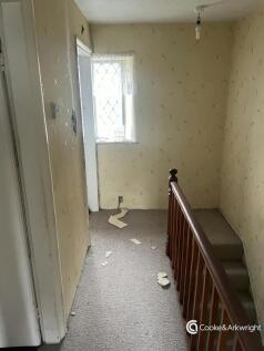 IMG_4937.jpeg