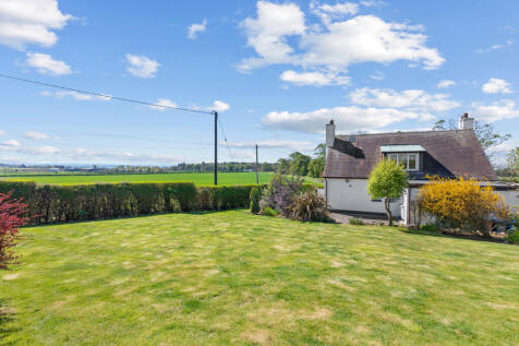 Back Garden