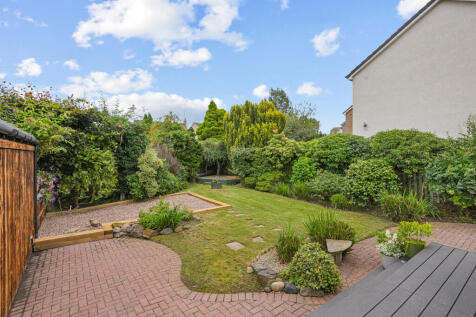 Back Garden