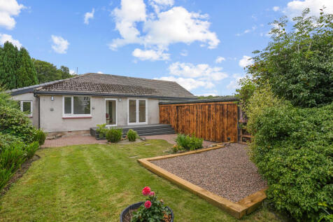 Back Garden