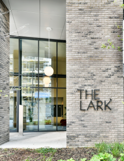 The Lark