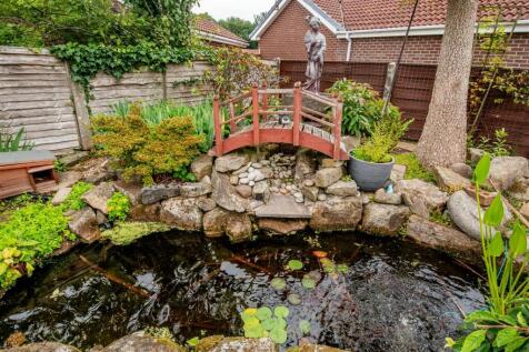 Pond