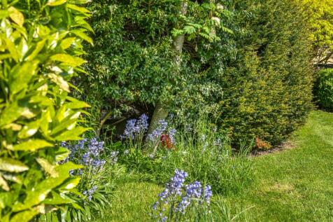 Property Image 53