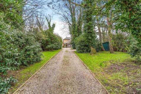 Property Image 44