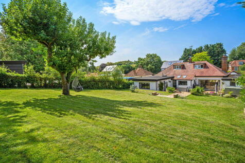 Property Image 43