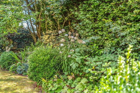 Property Image 57
