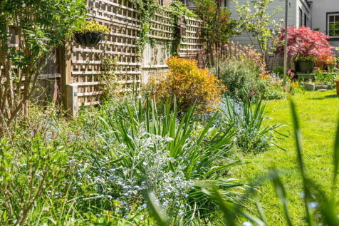 Property Image 40