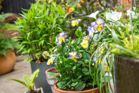 Property Image 45