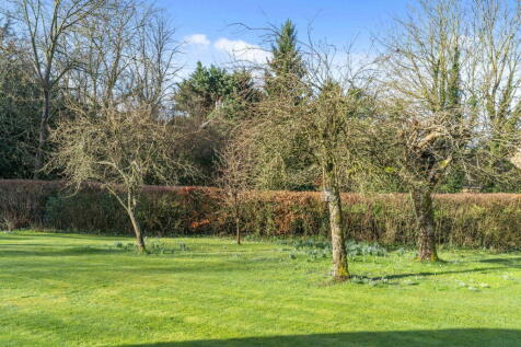 Property Image 64