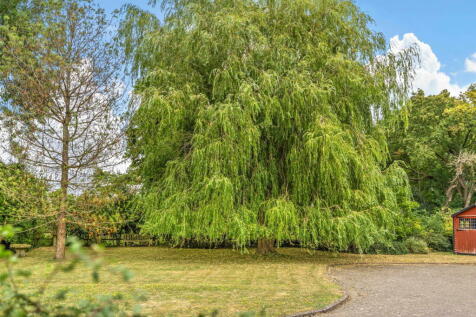 Property Image 43