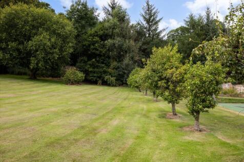 Property Image 48