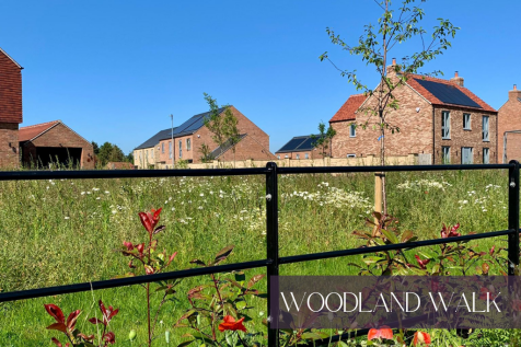 Woodland Walk