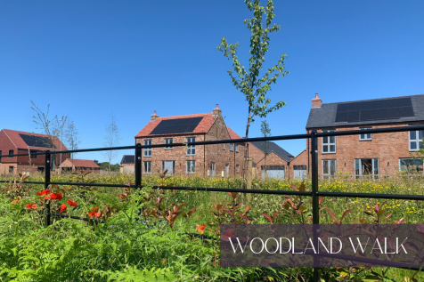 Woodland Walk