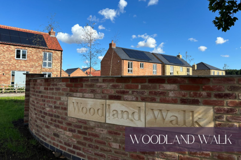 Woodland Walk