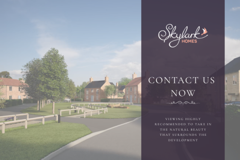 Get in Touch