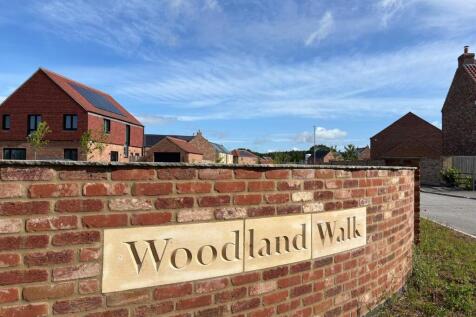 Woodland Walk