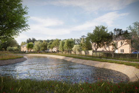 Pond View