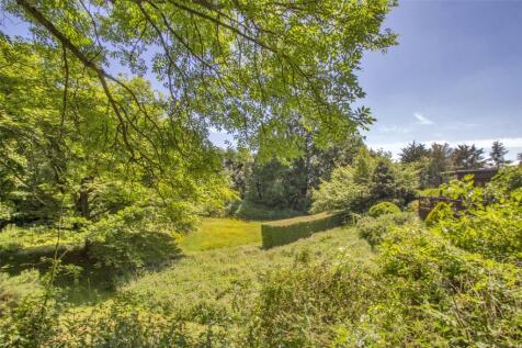 Wild Meadow Gardens