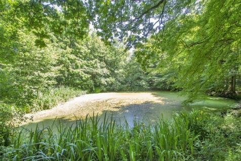 Pond