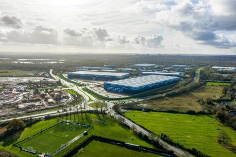 Eighty_Pan MK_20251113_0522.jpg