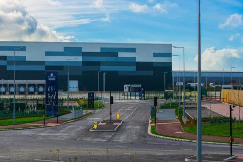 Eighty_Pan MK_20251113_0578.jpg