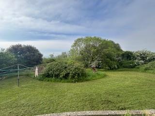 Garden 3.jpg