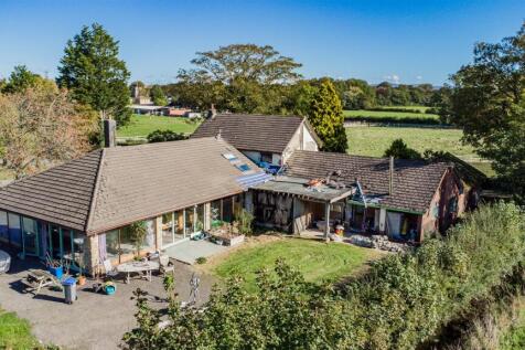 DJI_0768.jpg