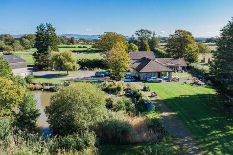 DJI_0783.jpg