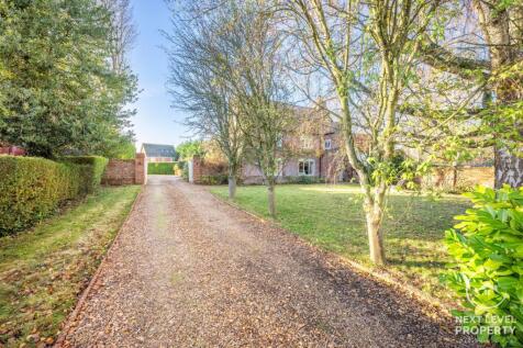 Front garden and driveway