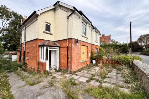 IMG 8156 T202510031604.jpeg