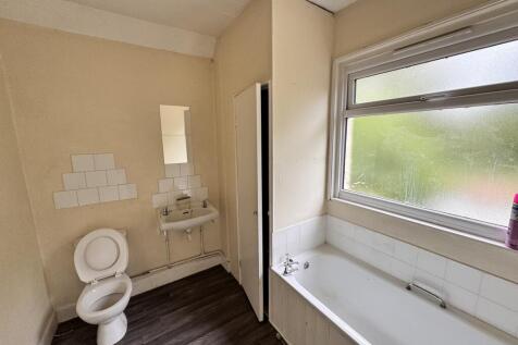 IMG 8163 T202510031605.jpeg