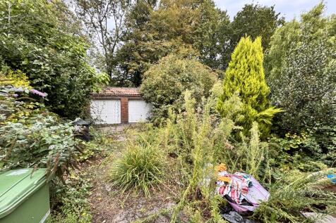 IMG 8158 T202510031605.jpeg