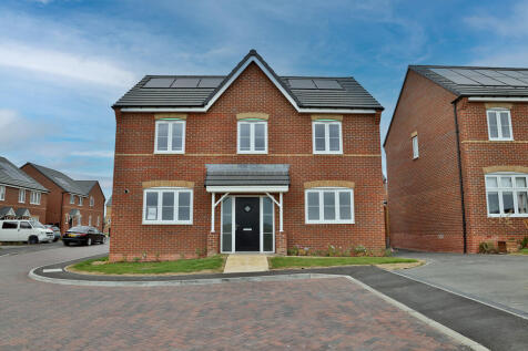 TWM_Bovis_150525_0029