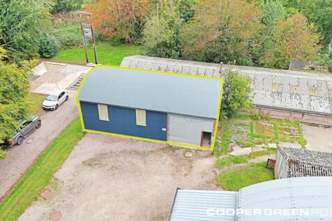 Green line front shot.jpg