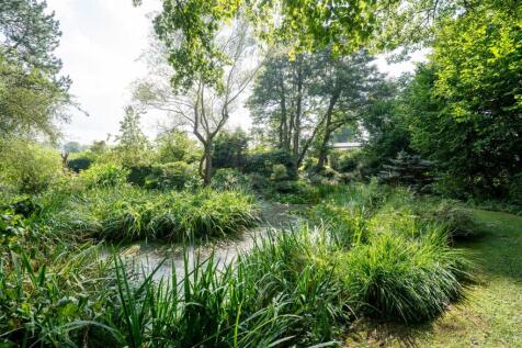 Pond.jpg