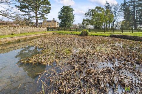 Feature Pond/ Garden