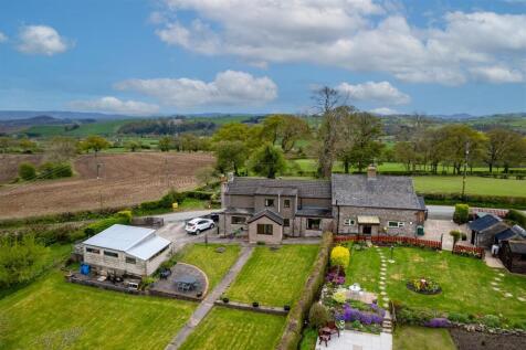DJI_0161.jpg