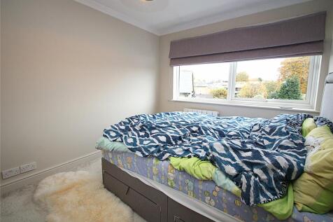 Picture 7