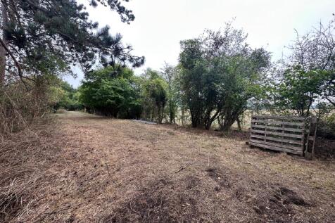 Property Image 45