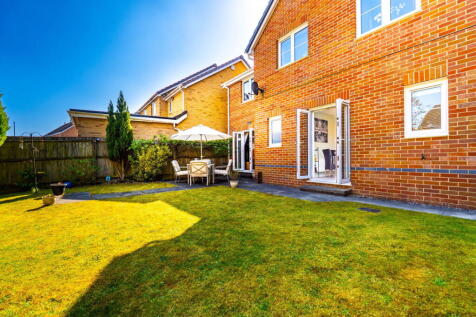 Property Image 42