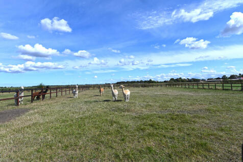downham0005