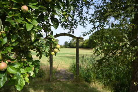 bacton0031