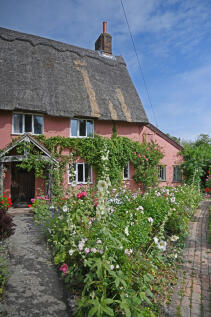 bacton0027