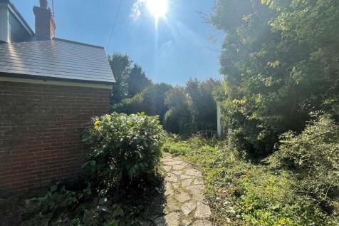 Amport Beeches